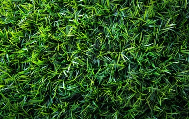 Wall Mural - A close up of a green grassy field. The grass is lush and green, and the field is full of it. Concept of tranquility and natural beauty
