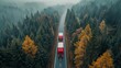 Red Truck Driving Through Tree-Lined Road