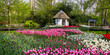 Panoramic view of scenic Keukenhof gardens in Lisse, Netherlands