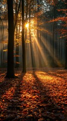 autumn nature trail with sunlit, vertical 9:16 ratio background, beautiful nature , Generative Ai