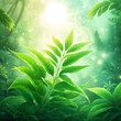 A vibrant green plant with large, glossy leaves set against a backdrop of a sunlit forest.