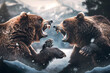 © 3M - bears fighting : Intense Action Scene of fighting Brown Bears, Wild Animals Fighting