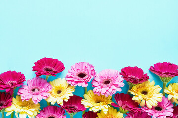 Wall Mural - Border of pink and yellow gerberas on a blue background. Copy space