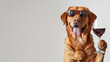 A retriever dog wearing sunglasses and holding a wine glass. The dog is smiling and he is enjoying the wine with empty copy space for text.
