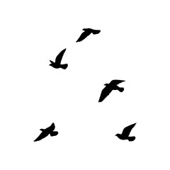 bird sillhouette background in the sky. flying birds silhouettes on white background. vector illustr
