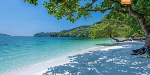 Wall Mural - A beautiful beach with a tree in the foreground