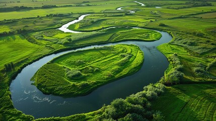 Wall Mural - Picturesque aerial view of a meandering river flowing through lush green fields