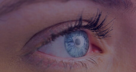 Poster - A close-up of Caucasian person's eye, showcasing a blue iris