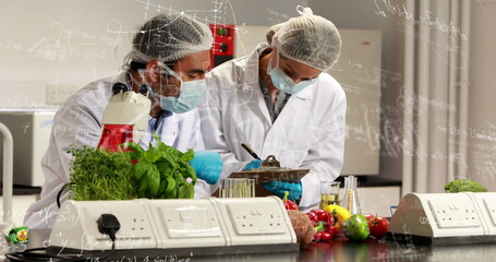Poster - diverse couple wearing lab coats are examining vegetables in lab