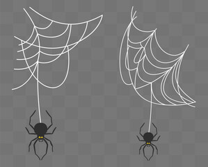 Spider on web. Vector illustration on a transparent background. Halloween.
