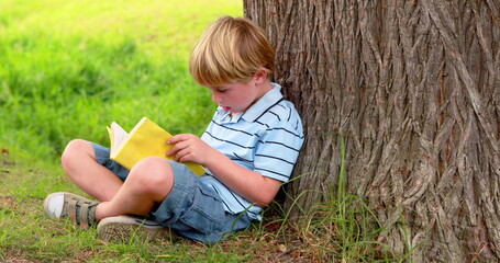 Poster - boy in striped shirt and shorts reads a book under a tree