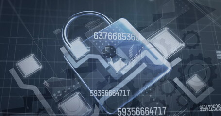 Wall Mural - Image of security padlock and data processing over black background