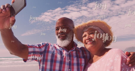 Wall Mural - Image of joy over happy diverse senior couple taking selfie on beach