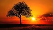 Sunset and tree, silhouette picture