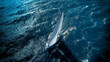 Aerial View of a Sailing Boat on a Blue Ocean