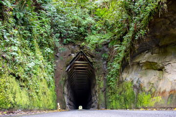 Canvas Print - Moki Tunnel - New Zealand