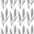 Vector Seamless Pattern with Hand Drawn Agriculture Wheat, Cereal Ears. Organic Wheat, Rice Ears. Grain Ear Design Template for Bread, Beer Packaging, Farming, Organic Food Concept