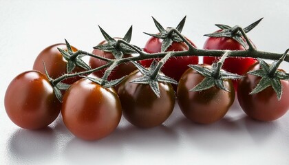 Wall Mural - Branch of delicious fresh cherry tomatoes, isolated on white background