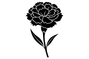 Canvas Print - carnation flower vector illustration