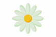 © CreativeDesigns - daisy flower vector illustration