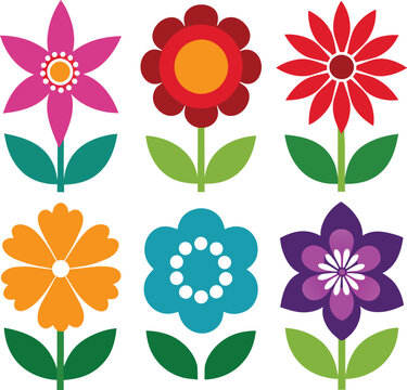 collection of flowers
