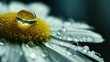 © VISUAL BACKGROUND - A close up of a daisy with water droplets. Generative AI.