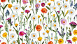 © akk png - freigestellte dekoration tapete blumenwiese flower meadow summer release isolated cut-out panorama white background colourful macro close-up view merry shiny natural lot papaver poppy grass wilde
