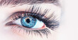 Closeup  of a blue woman's eye