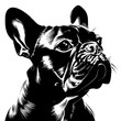 © Feroza Bakht - Dog vector, line art Dog, Dog outline, Dog svg, Dog png, Dog illustration, Labrador Retriever Dog, German Shepherd Dog, Golden Retriever Dog, Bulldog Dog, Beagle Dog, Poodle Dog, Boxer Dog, Dachshund