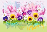 Fototapeta  - composition with pansies and pink flowers as harbingers of spring