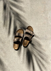 Wall Mural - Taupe Buckled Sandals with Palm Tree Shadow Outside