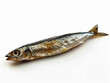 A small fish is shown on a white background.