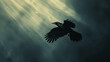 A black crow flying through the sky with light shining through.