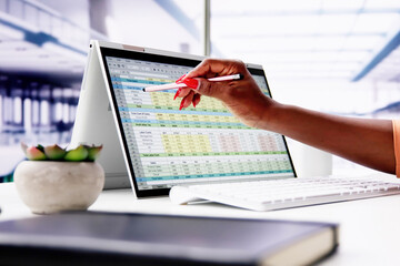 Poster - Computer Spreadsheet Data Analyst Woman