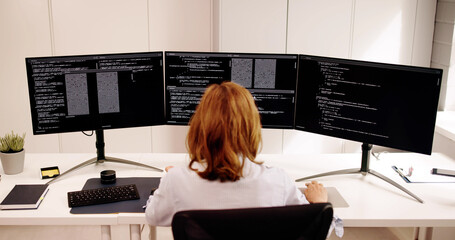 Poster - Software Programmer Or Coder Woman