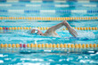 Swimmer swims freestyle swimming style in the pool