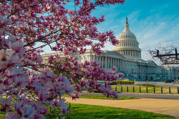 Canvas Print - Capitol democracy in USA Washington DC, Capitol building USA. Supreme Court, Washington monument. USA Congress. Capitol is symbolic of USA. Spring in Washington D C.