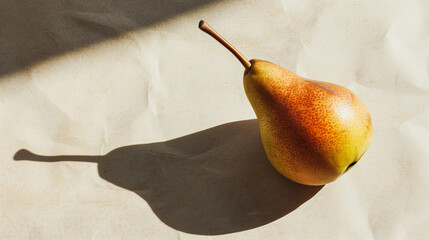 Canvas Print - An elegant pear with a long, curved stem, positioned upright and casting a long shadow across a pale, textured paper background 