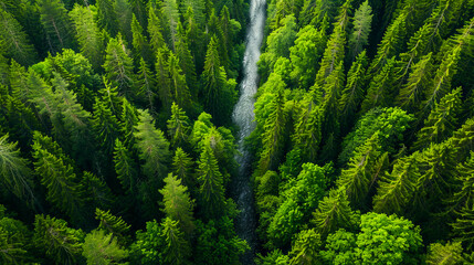 Wall Mural - Aerial view of a forest with a waterfall.