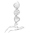© Kateryna - Continuous line drawing of hand holding DNA. Single one line draw helix DNA. Low poly wireframe style. Concept biotech, science, medicine. Technology innovation in genetic engineering. Graphic vector.