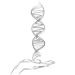 Continuous line drawing of hand holding DNA. Single one line draw helix DNA. Low poly wireframe style. Concept biotech, science, medicine. Technology innovation in genetic engineering. Graphic vector.