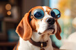 Scholarly Beagle. A beagle with sunglasses gazes out a window, perfect for educational pet content, intellectual themes, or eyewear promotions