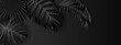 Tropical black background from exotic leaves. Design vector. Paradise plants. Stylish fashion banner. Wedding template. Leaves are not trimmed. Isolated and editable