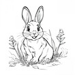 Coloring hare picture for children