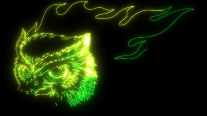 Poster - video of owl head with flames