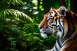 Tiger Profile in Natural Jungle. Great for eco-tourism promotion, wildlife photography, and educational books
