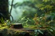A background image of mossy rocks and tree stumps in a bamboo forest, suitable for neutral product branding and packaging. Fresh green tones and ample copy space.