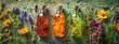 Bottles with herbal tinctures on a background of dried medicinal herbs. Selective focus.