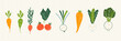 Cute illustration of various vegetables