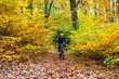Mid-adult woman riding bicycle in city forest in autumnal scenery
